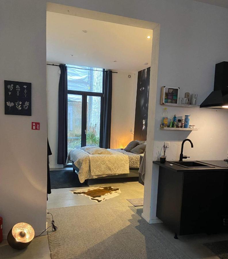 Garden Suite In City Center 安特卫普 外观 照片