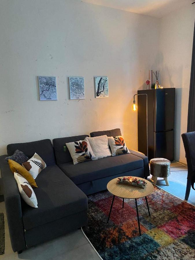 Garden Suite In City Center 安特卫普 外观 照片